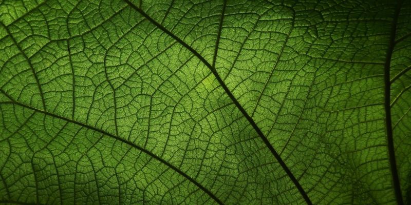 Sustainability & Accessibility